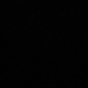 Meet your Posher, Bridget